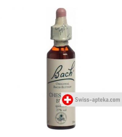 Bachbluten Chestnut Bud Nr. 7 жидкость 20мл