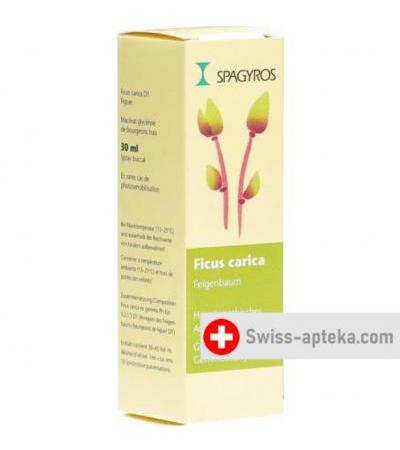 Spagyros Gemmo Ficus Carica Glyc Maz D 1 30мл