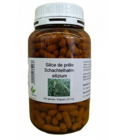 BIONATURIS Schachtelhalmsilizi Kaps 220 mg 540 Stk