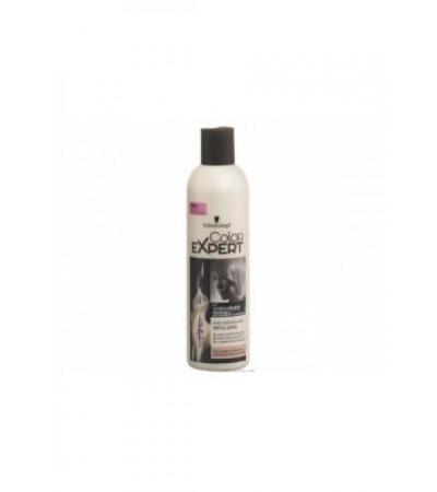COLOR EXPERT Farb-Versiegelungsspülung 250 ml