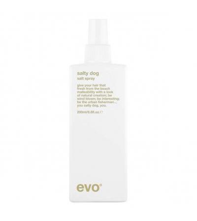 evo style - salty dog salt spray