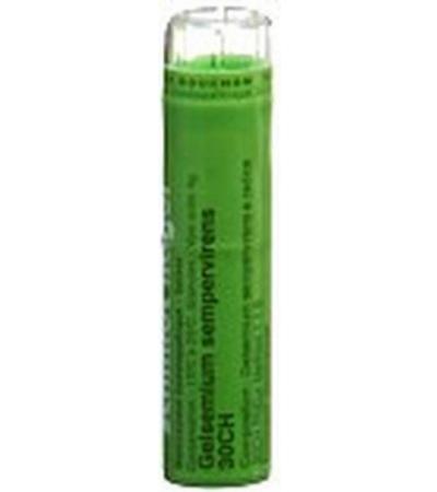 SN GELSEMIUM SEMPERVIRENS GRAN CH 30 4 G