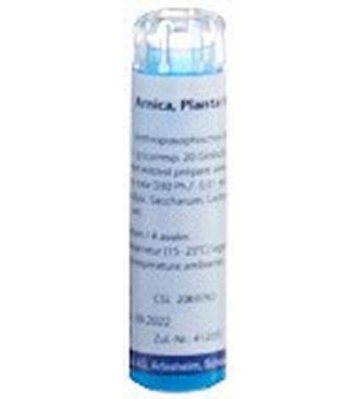 WELEDA ARNICA PLANTA TOTA GLOB D 30 4 G