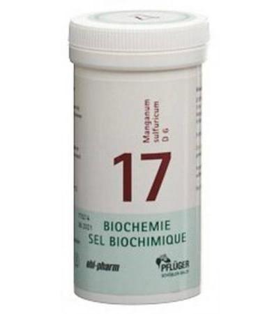 PFLÜGER SCHÜSSLER NR17 MANGANUM SULFURICUM TABL D 6 100 G