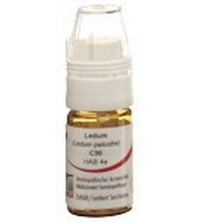 OMIDA LEDUM GLOB C 30 M DOSIERHILFE 4 G