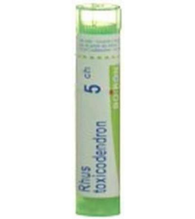 BOIRON RHUS TOXICODENDRON GRAN C 5 4 G